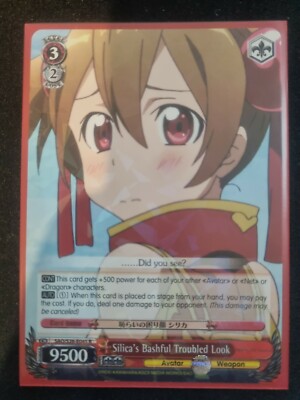Sword Art Online - Silica's Bashful Troubled Look - SAO/S26-E045 R