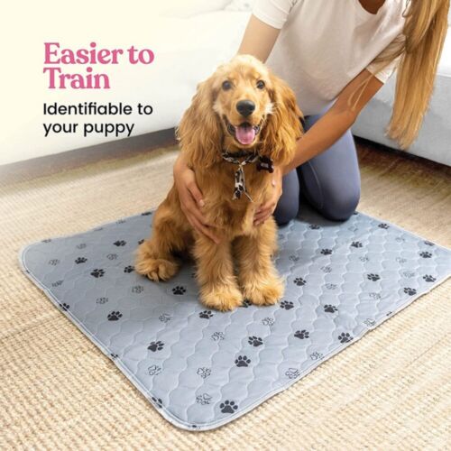 Almohadillas para orinar lavables para perros - Paquete de 2 almohadillas reutilizables súper absorbentes para cachorros - Imagen 3 de 12