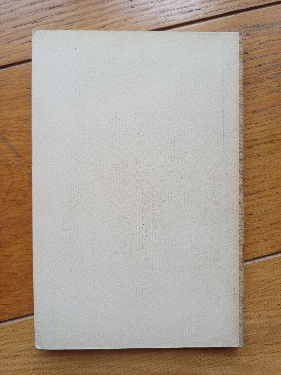 Foto 2 di 6