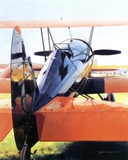 Speedwing  – OSHKOSH AESTHETICS Bookplate Art Painted by Charles Thomson - 199