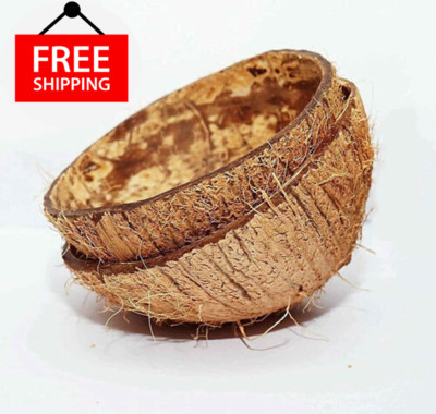 Natural Coconut Shell Halves ECO friendly Ceylon 100% Natural pure Bowls Organic