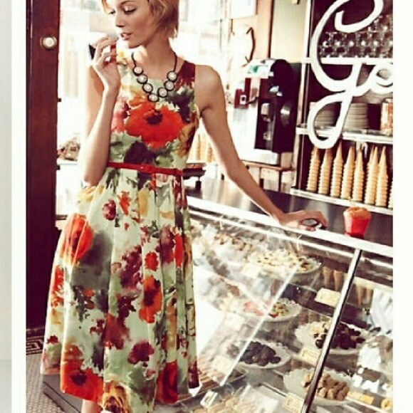 knee length dresses for ladies Dane Cotton Floral Corset Midi Dress  Lace & Beads