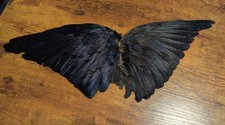 Skulls, Bones, Taxidermy, Crafting, Voodoo, Gothic, Oddities, Curio, Animal