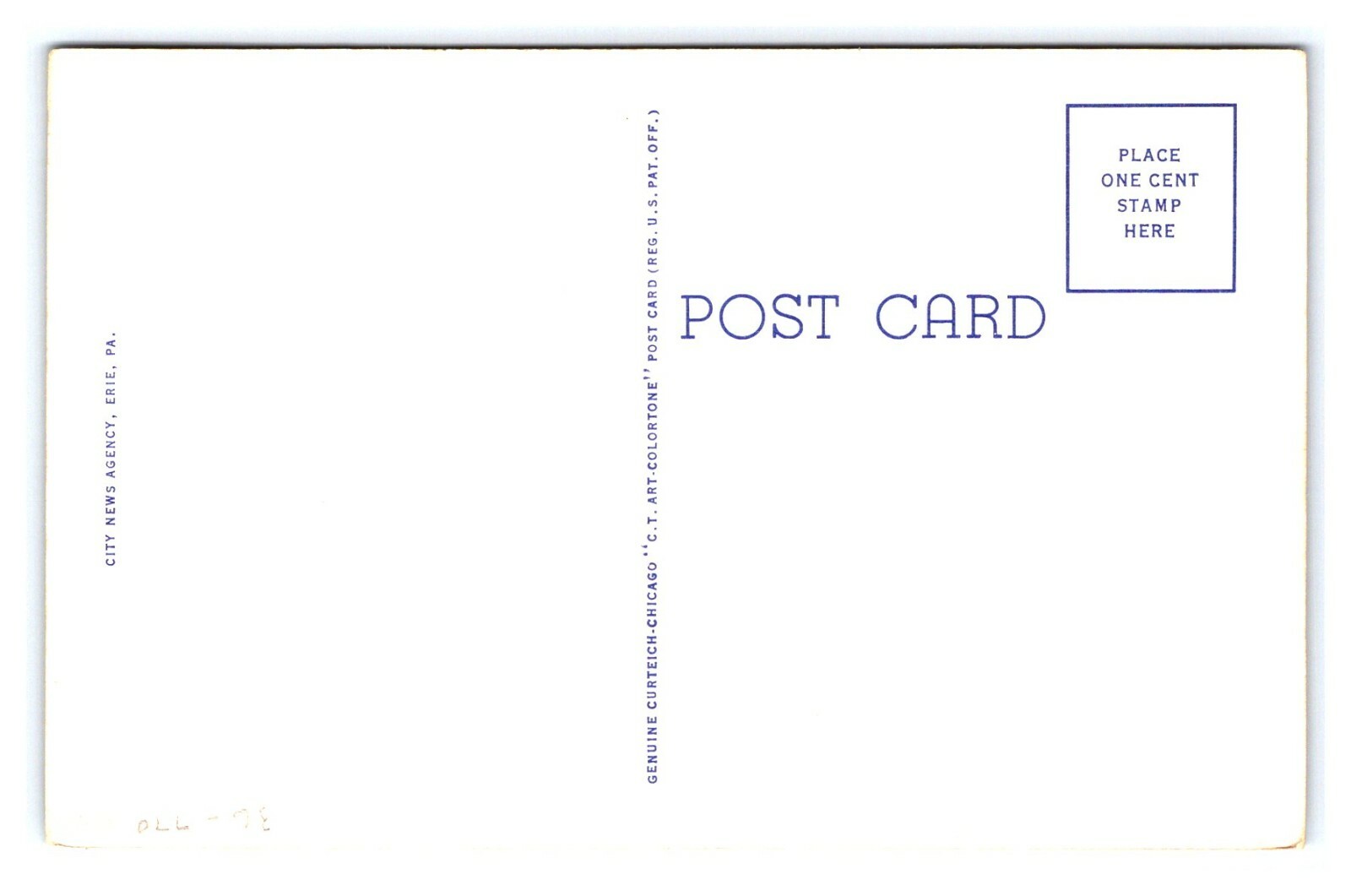 Roses Bloom, PENINSULA DRIVE, ERIE PENNSYLVANIA, PRESQUE ISLE, Tiech