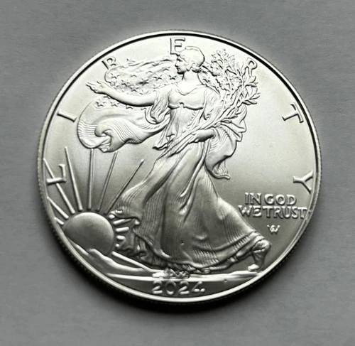 Nice Uncirculated 2024 American Eagle Silver Dollar 1 oz