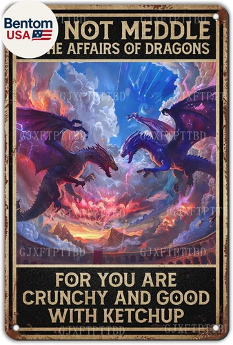 Metal Sign Funny Dragon Decor Do Not Meddle in the Affairs of Dragons Vintage Ti