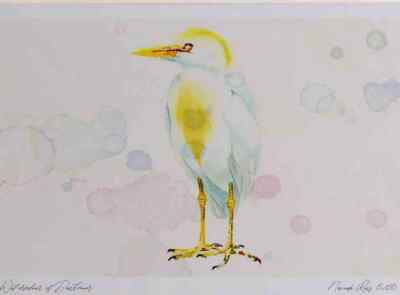 A4 Rinderreiher Zuchtgefieder Aquarell limitierte Auflage Druck