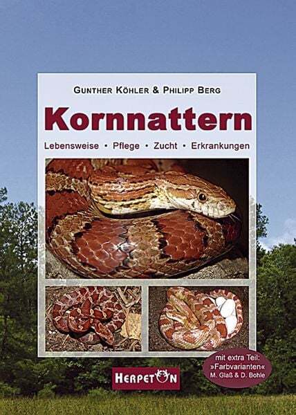 Thumbnail - Kornnattern