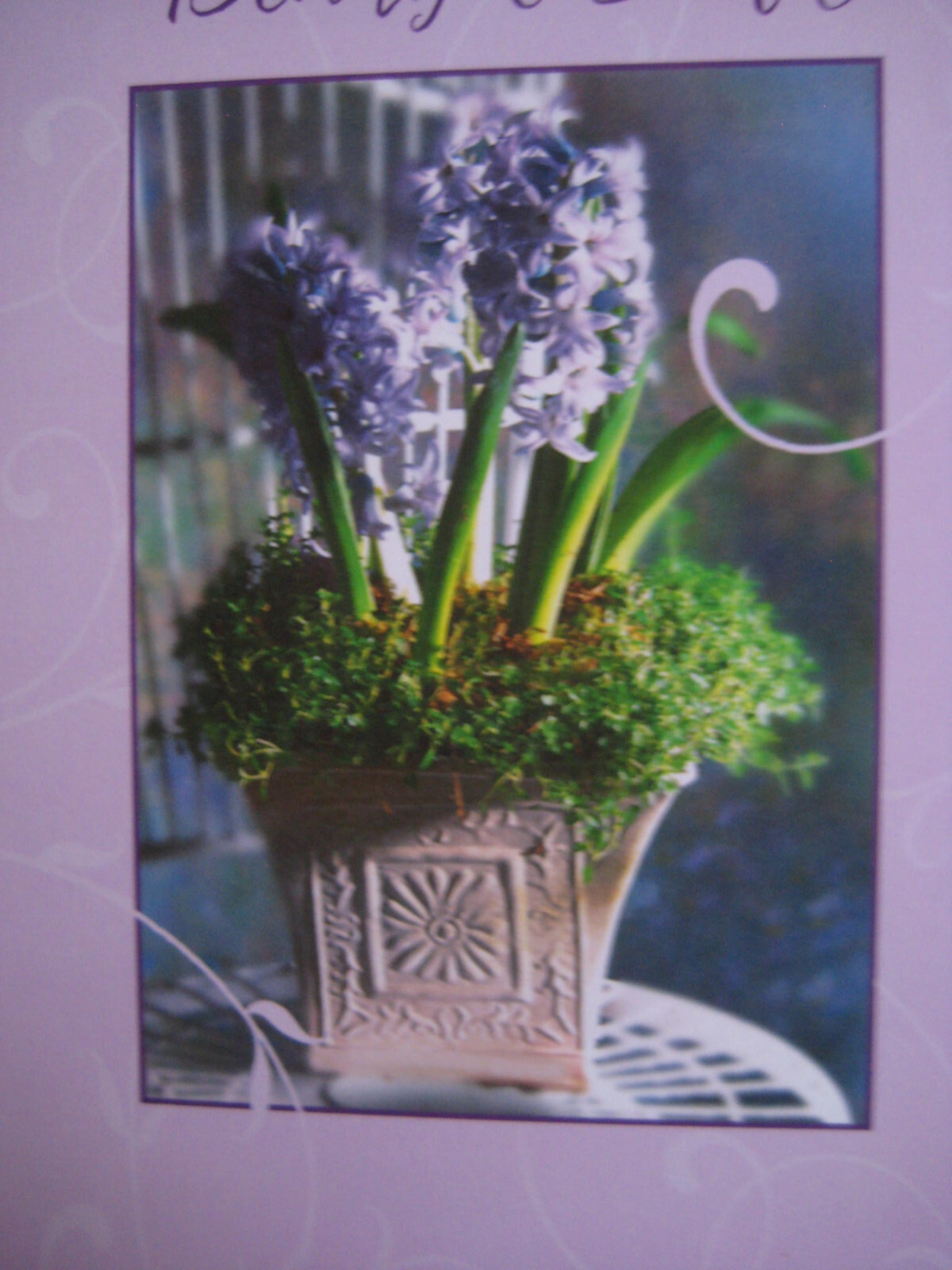 Picture 3 of 6