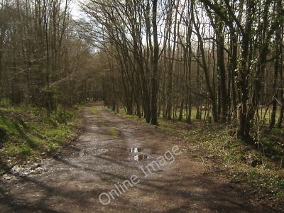 Foto 6x4 Gleis ins Wadland Wood Kenardington Diese Spur führt von Hock c2010