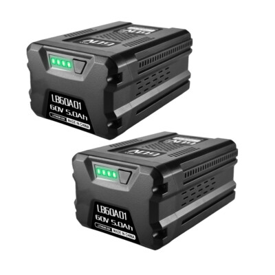 2X 60V 5Ah Replacement Battery for Greenworks 60V Max Cordless Power Tools
