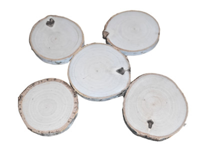 Holzscheiben 6-7 cm Holzblockscheiben VERKAUF Rund Rustikal Hochzeit Handwerk Untersetzer