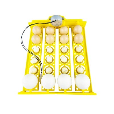 24 Eggs Basket Type Incubator Egg Tray Small Incubator parts 110V/220V #qm