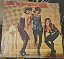 Exposé ~ Exposure LP 1987 ARISTA AL-8441 - Latin Freestyle Vinyl Record