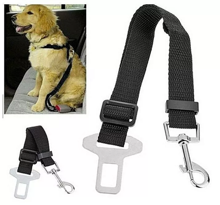 Belt dog hotsell