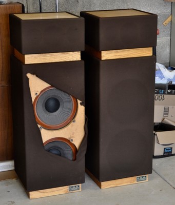 stereo voice speakers