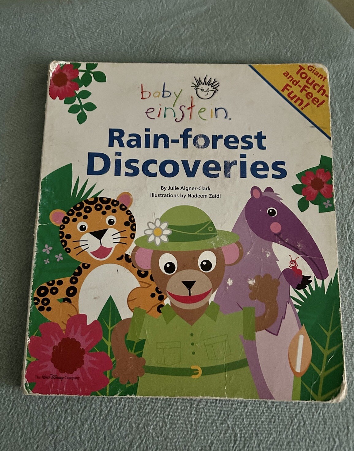 RARE Baby Einstein: Rain-Forest Discoveries Board Book