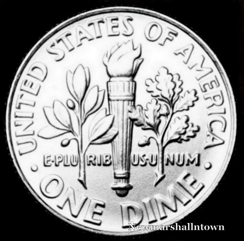 1971 P Roosevelt Uncirculated Dime ~ Raw Coin from Bank Roll
