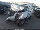 Foto 8 di 12