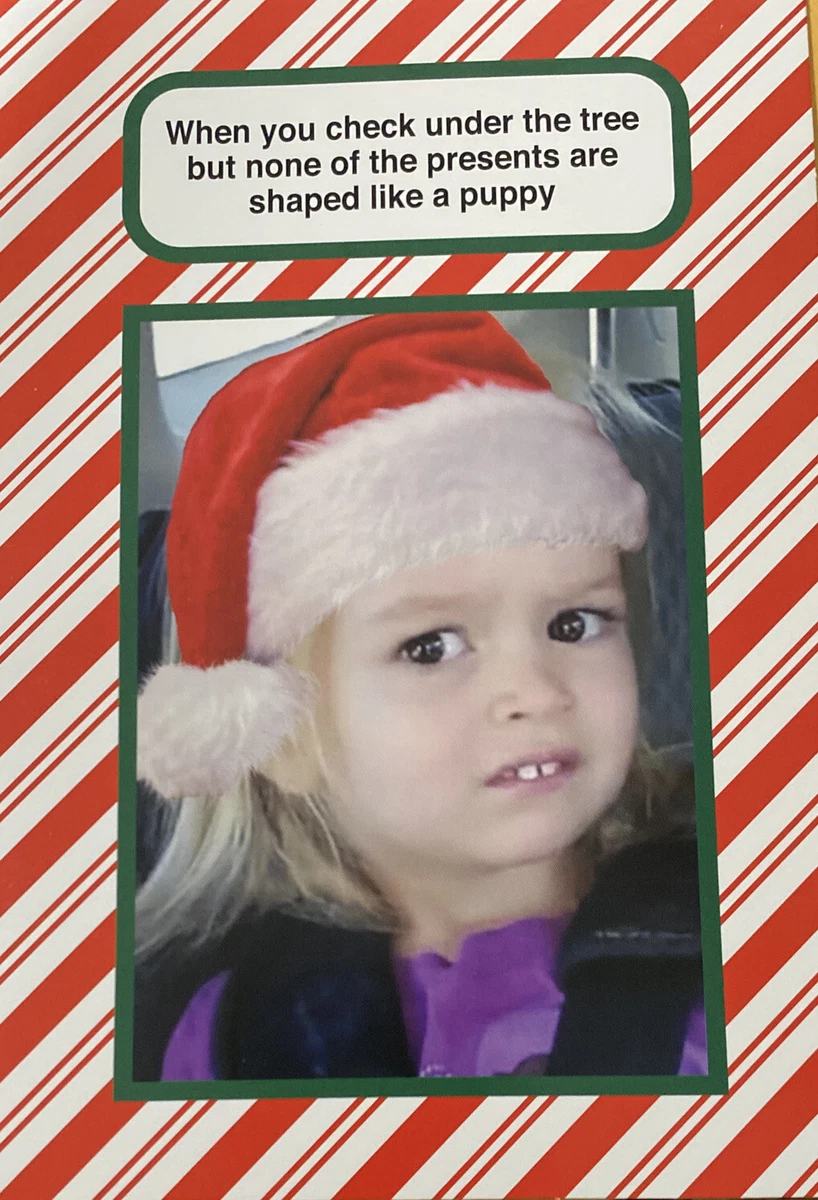 Merry Christmas, What Do You MEME? Funny, Girl With Santa Hat, Greeting  Card | eBay