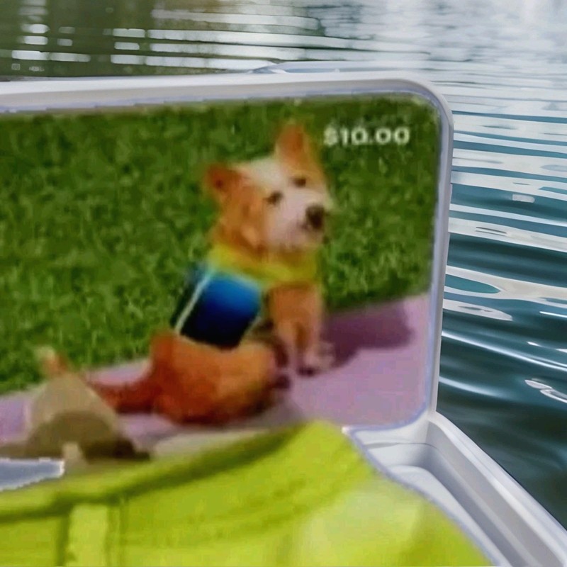 Cooling Pet Vest Sz Small Sun Squad Neoprene Cute Cool Pooch Apparel NWT