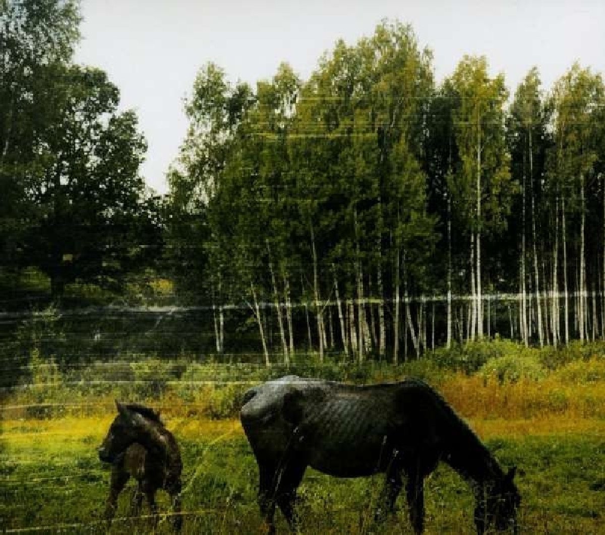 Pianos Become The Teeth Old Pride (CD)