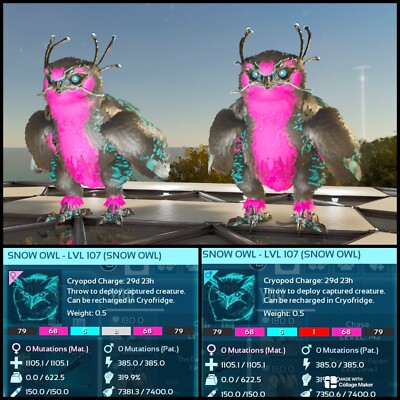 Ark Survival Ascended PVE LOW LEVEL GALAXY SNOW OWL PAAR XBOX/PC/PS5