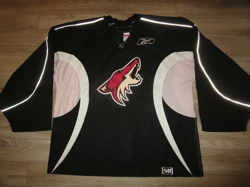 Arizona Coyotes NHL Reebok Goalie Practice Game Worn Jersey 58