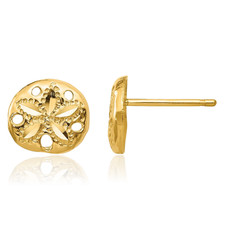 14K Solid Yellow Gold Sand Dollar Starfish Stud Earrings