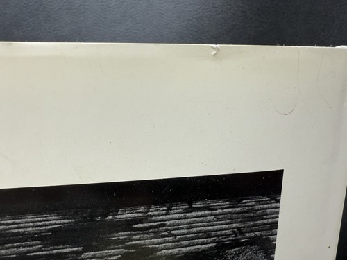 REVEALING LIGHT LILO RAYMOND PHOTOGRAPHS HC DJ FIRST EDITION - Picture 8 of 9