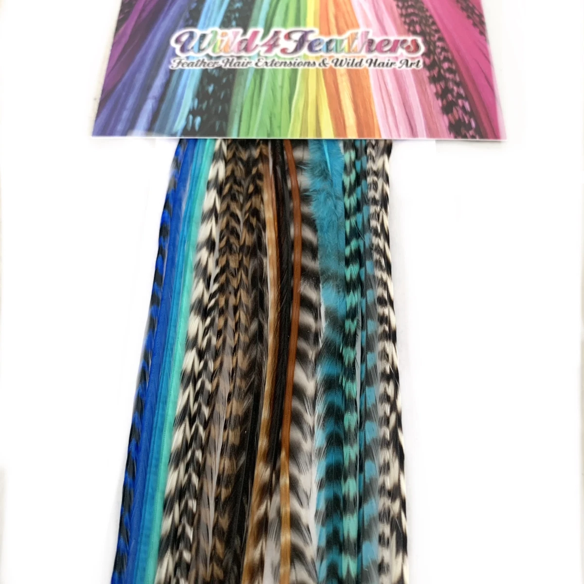 Bulk Hair Feathers Popular Colors Long Feather Extensions Rainbow Blue  Violet Pink Natural Grizzly Turquoise Feather Hair Extensions x 50