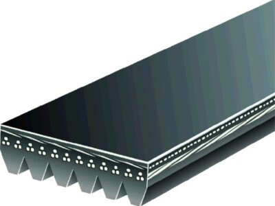 Automotive Accessory Belt (Standard) K06 13/16'' x 53 1/2'' 5060530DR Drive-Rite