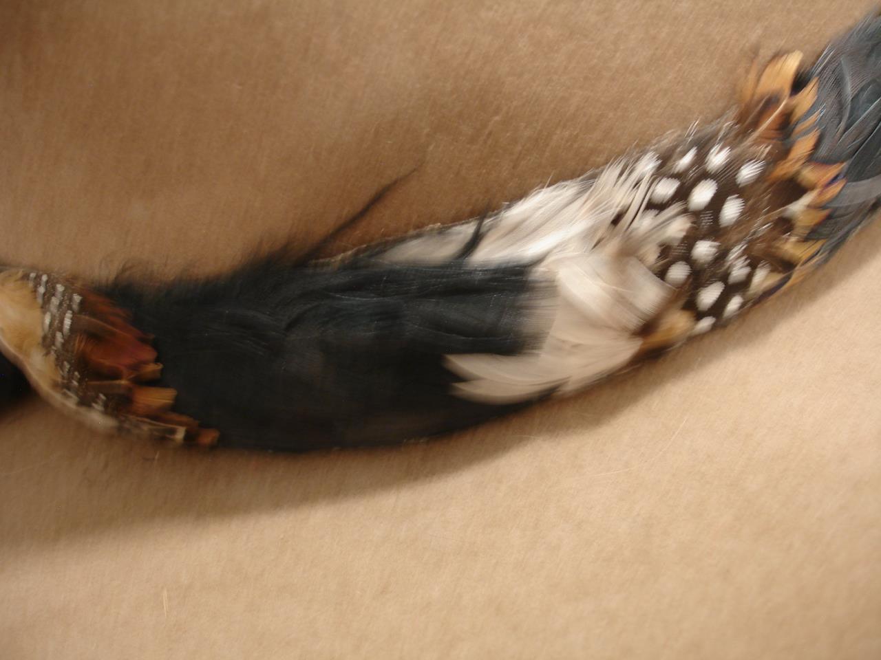 Picture 7 of 15