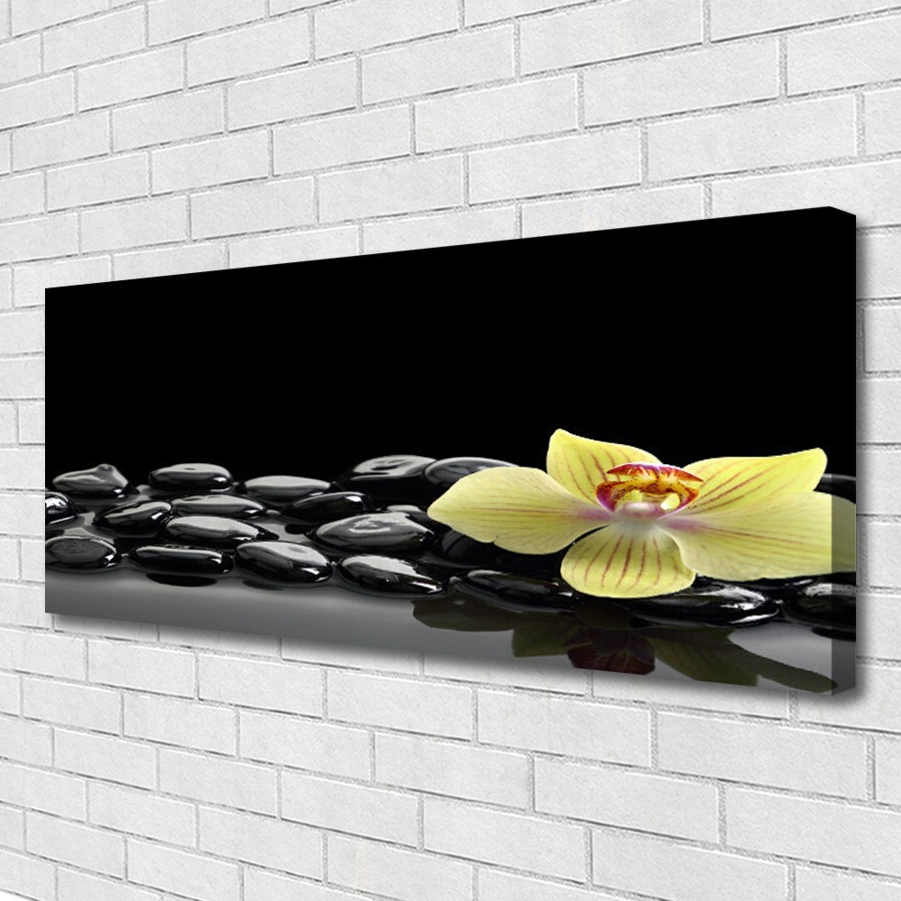 Habillez votre mur de cuisine vide avec ce tableau fleurs et pierres 125x50