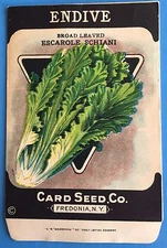 *Original* ENDIVE Escarole Lettuce CARD SEED Packet Pack 1920's Fredonia N.Y.