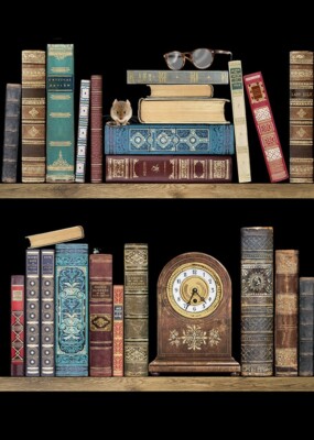 Notes & Queries Bookshelves Blank Note Card