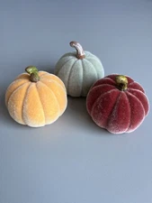 Boston International Small  Velvet Pumpkins Autumn decor Accents