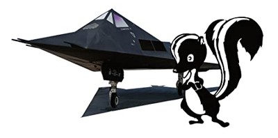 Platz 1/144 US Air Force Stealth Fighter F-117 Nighthawk Skunk Works Plastic Mod