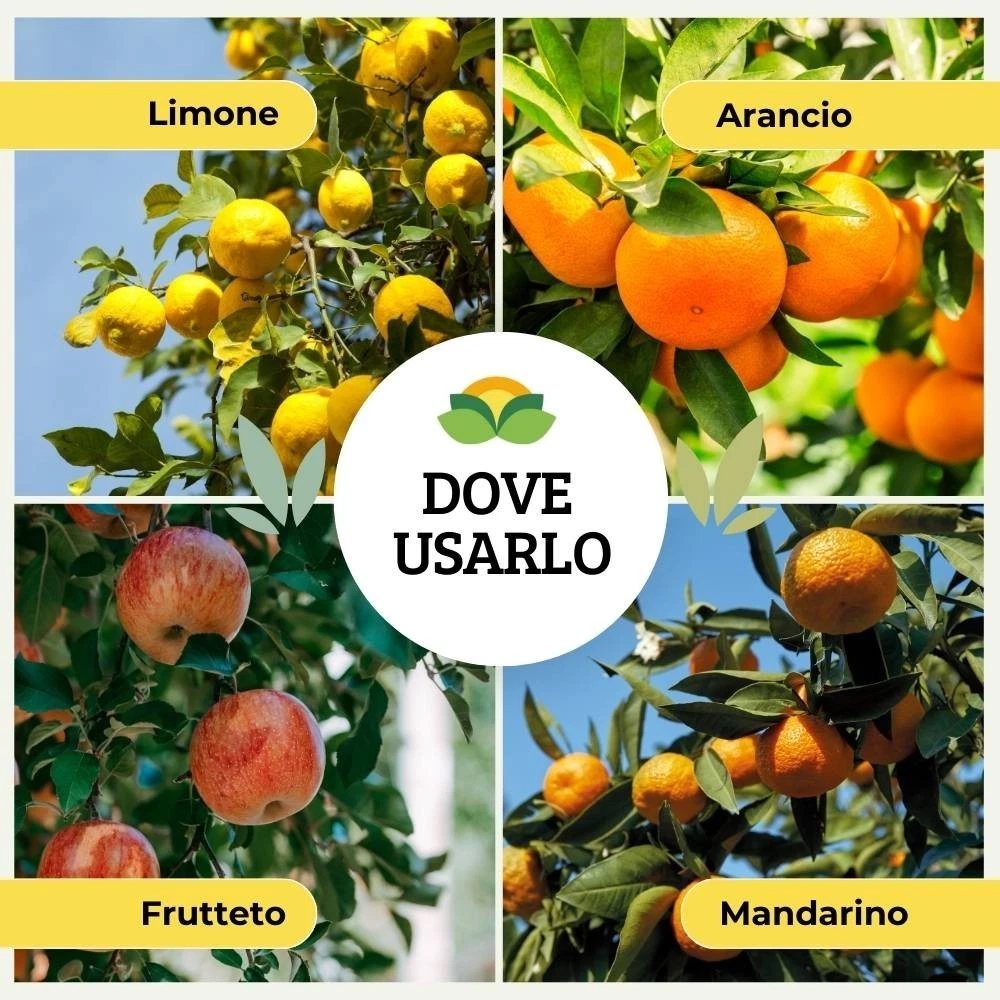 Foto 7 di 10