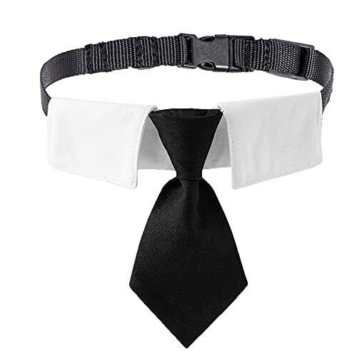  Collier collier réglable avec cravate noire mariage formel  - Photo 1 sur 5