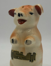 Vintage Salt Shaker Pig Souvenir Crofton Nebraska Japan Retro Farm Ranch Animal