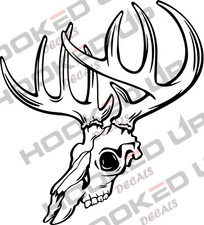 Deer Buck Skull Vinyl Transfer Decal Deer Buck Skull Vinyl Transfer Decal