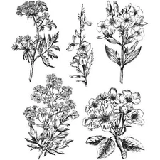 NEW Tim Holtz Stampers Anonymous "ILLUSTRATED GARDEN" Rubber Cling Stamp Set