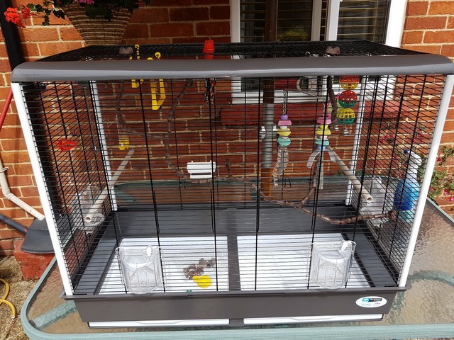 ferplast piano 6 bird cage