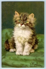 c1930's Cute Cat Kitten Portrait D. Merlin Stehli Switzerland Vintage Postcard