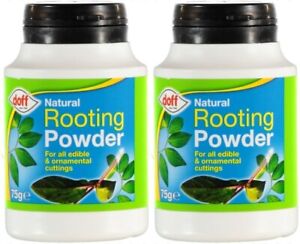 Vitax Organic Rooting Powder Edible Plant Cutting Strong Healthy Root Dip Pot