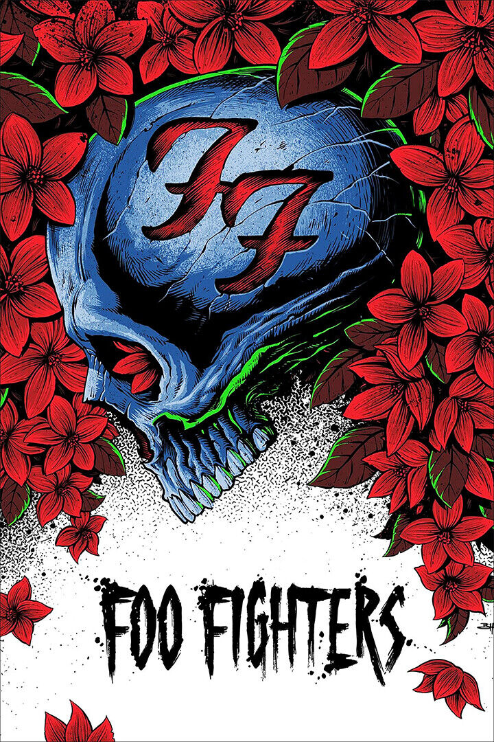 Poster Music Foo Fighters, Canvas Foo Fighters