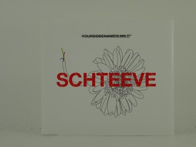 YOUR CODE NAME IS:MILO SCHTEEVE (D10) 3 Track CD Single including Picture Sleeve
