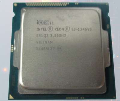 Intel Xeon 1246 v3 CPU (4 Cores, 8 Threads, 3.9 Ghz Boost)