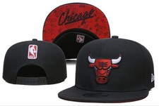 Chicago Bulls Collecting and Fan Guide 7